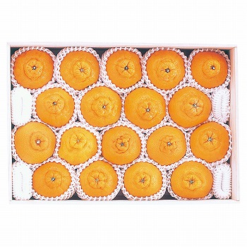 啪Y nEXʂfR| (SSP-100)y͂ԁF12{`z